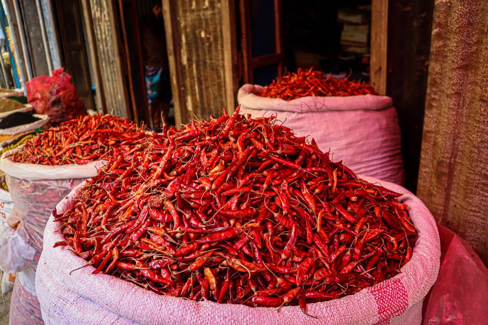 The Future of Chillies: Global Demand, Indian Exports & Price Trends