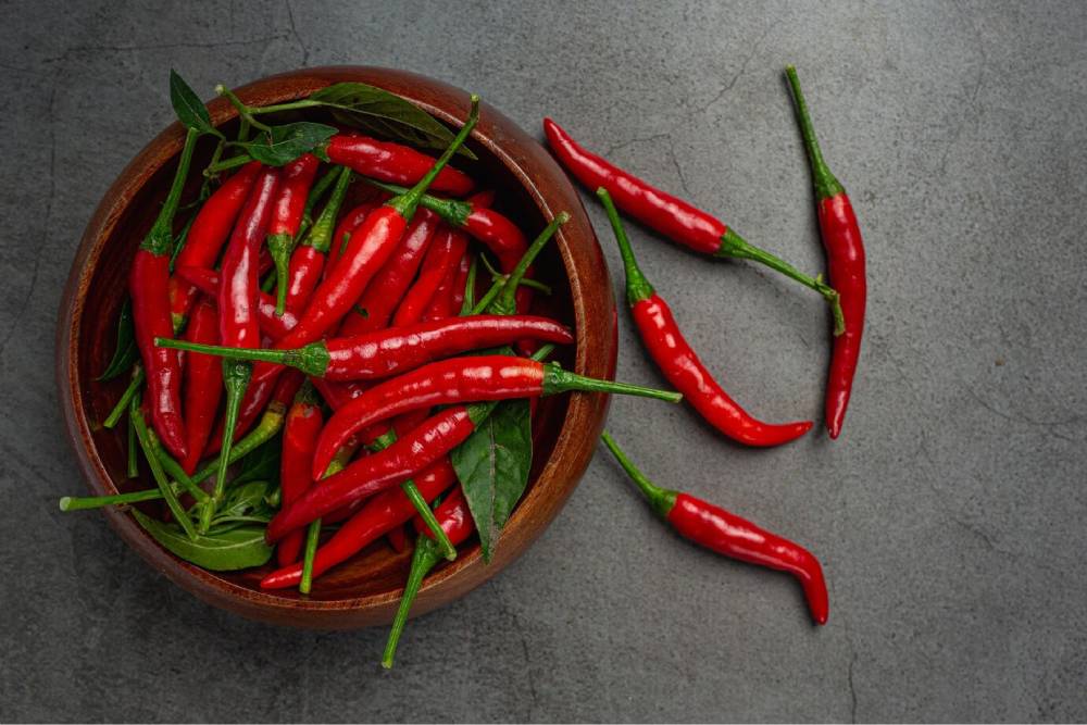 India’s Red Chilli Export Surge: Key Markets and the Speciality of Guntur Chillies